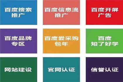 经典案例：SEM代运营服务公司的成功之路